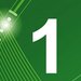 1 1
